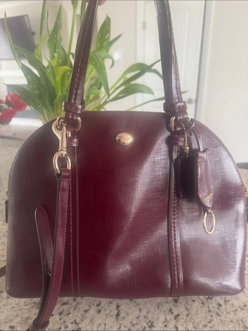 Coach Women’s Leather Dome Satchel - Wine